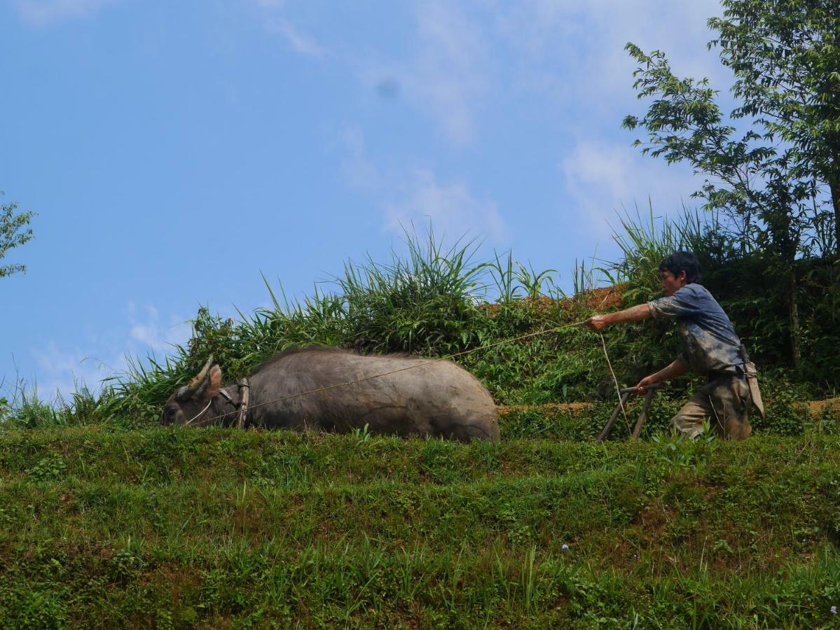 Hmong Sister House And Trekking Apartment Sapa Bagian luar foto